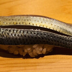 鮨 さかい - 小鰭