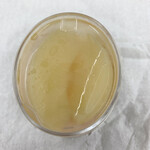 和菓子処 大角玉屋 - 白桃水ようかん