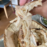 インド･パキスタン料理 ホット・スプーン - 