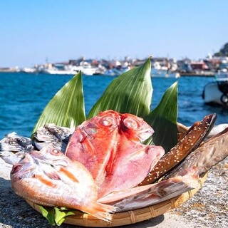 干物クリエイターが作り出す、お酒に合う干物を味わう♪