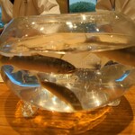 日本料理 別府 廣門 - 大分川水系七瀬川の鮎