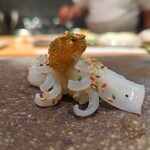 天寿し - 赤イカ