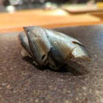 天寿し - シンコ