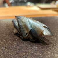 天寿し 京町店 - シンコ
