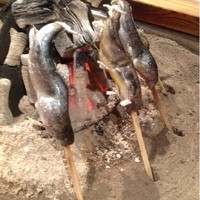 柳家 - 岩魚