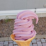 쿠즈마키 코우겐차야 - 소프트 아이스크림 산포도