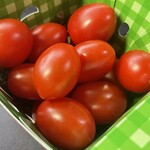 OSMIC DISH - 『OSMIC TOMATO mini』