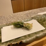 勢麟 - コシアブラ