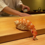 鮨 さかい - 車海老