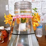 朝めし酒場 ナニコレ食堂 - 