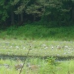 くつきそば 永昌庵 - 