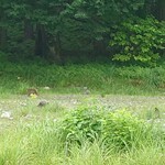 くつきそば 永昌庵 - 