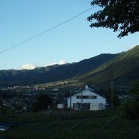 ビストロ・ミル・プランタン - 