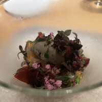 マンサルヴァ - 