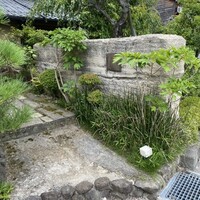 魚菜料理 縄屋 - 