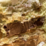 ル ガリュウＭ - Pショコ断面