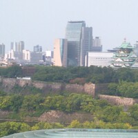 SAKURA - 大阪城のビュー