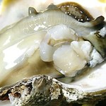 h Yuuya - 厳選　岩牡蠣！！