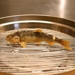 てんぷらと和食 山の上 - 