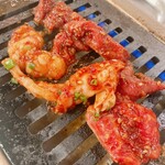 Oosaka Yakiniku Horumon Futago - 