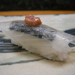 寿楽 - イカのお寿司