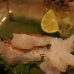 酒嗜　ふる川 - 