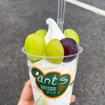 후쿠야마 소프트크림 안츠