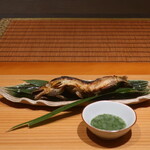 日本料理 幸庵 - 富山県神通川 天然鮎の塩焼き