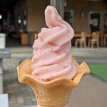 道の駅 オライはすぬま - 【2022/8】(売店)山武いちごジェラート