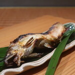 日本料理 幸庵 - 富山県神通川 天然鮎の塩焼きアップ