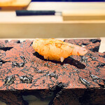 島津 - ◎ ボタンエビ　　最近は蒸したての車海老ではなく、このような大きなボタンエビも…