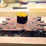 島津 - ◎ 赤ウニ　天草