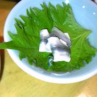 鮨 一新 - 