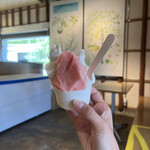 MINORI GELATO - 