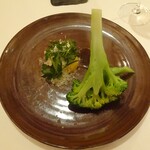 レストラン・モリエール - Menu Terroir：季節野菜（美瑛産ブロッコリー（パルミジャーノレジャーノ・卵黄・イタリアンパセリなどハーブとシェリービネガー））