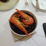 レストラン・モリエール - Menu Terroir：北海シマ海老のボイル