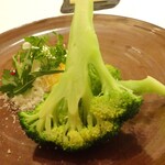 レストラン・モリエール - Menu Terroir：季節野菜（美瑛産ブロッコリー（パルミジャーノレジャーノ・卵黄・イタリアンパセリなどハーブとシェリービネガー））