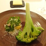レストラン・モリエール - Menu Terroir：季節野菜（美瑛産ブロッコリー（パルミジャーノレジャーノ・卵黄・イタリアンパセリなどハーブとシェリービネガー））