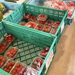 八紘学園 農産物直売所 - 【2022年08月】トマトもイイ感じの出来映え。