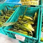 八紘学園 農産物直売所 - 【2022年08月】とうきび。