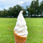 八紘学園 農産物直売所 - 【2022年08月】ソフトクリーム小200円、