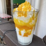 mango apricot smoothie