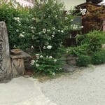 山越うどん - 入口と見せかけて実は出口