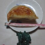 桃苑 - 餃子の全長9cm