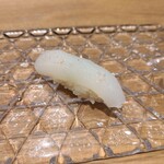 鮨 青海 - あおりいか