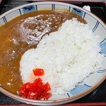 特別名勝兼六園 堤亭 - カレー