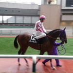 万松 - 隼人君　ありがとう♪＼(^^)／