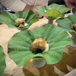 日本料理 珀也 - 