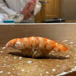 Sushi ayase - 