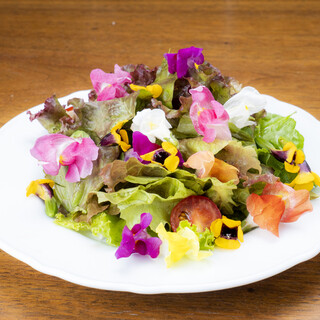 シュラスコレストラン カレンドゥラ SHIZUOKA いつでもレモンサワー_1